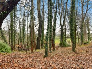 Photo 5- click for photo gallery